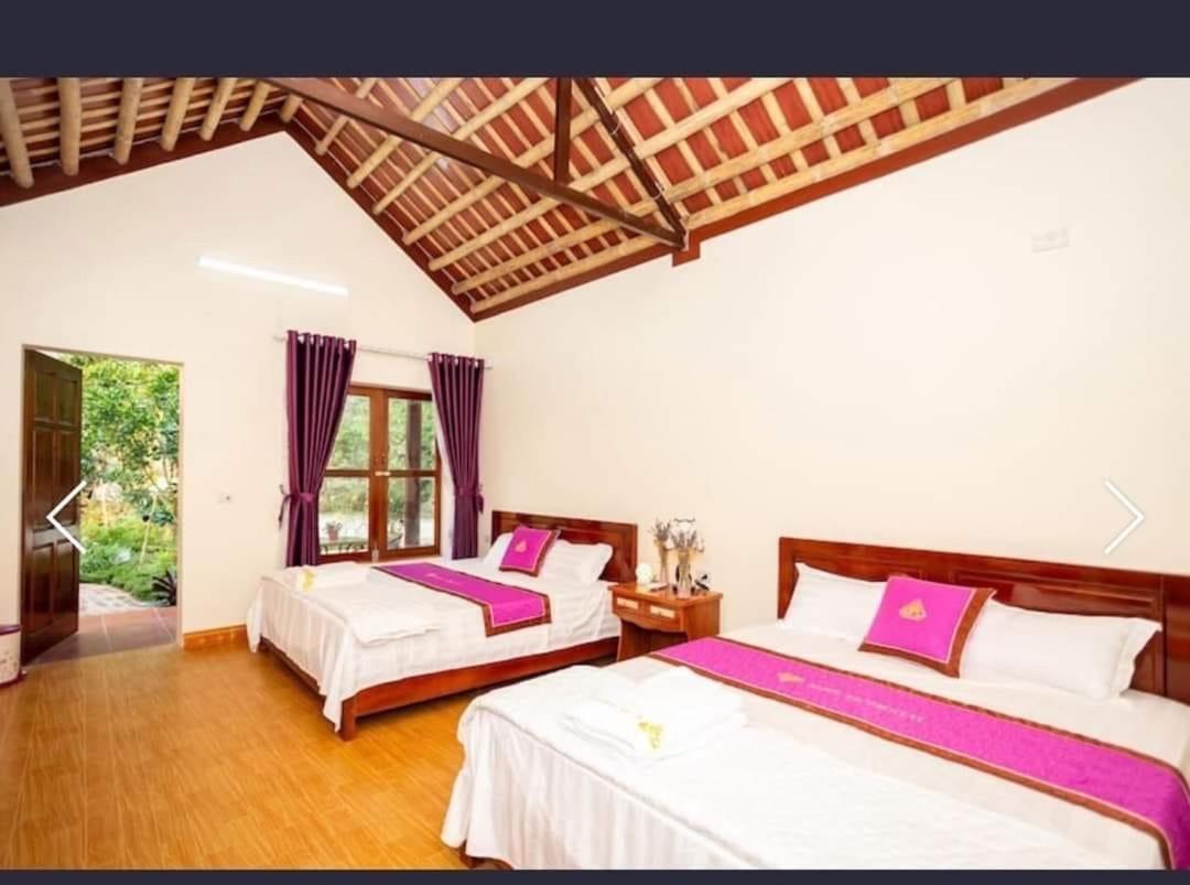 Viet Anh Homestay Ninh Binh Luaran gambar